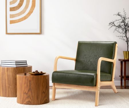 Armchair Lounge Chair Couches Sofa Wood PU Green