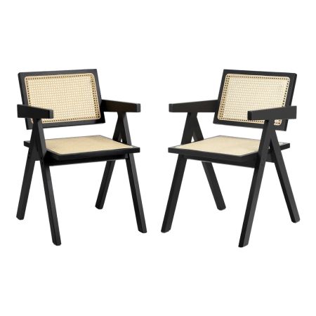 2x Dining Chairs Rattan Chair Wooden Black